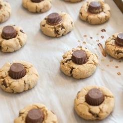 gluten-free-peanut-butter-chocolate-cookies-6